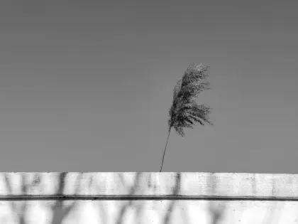 제이에이지드지드 카지노 모바일 앱